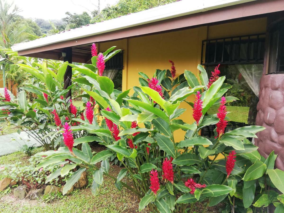 Hotel Catarata Rio Celeste Bijagua Eksteriør bilde