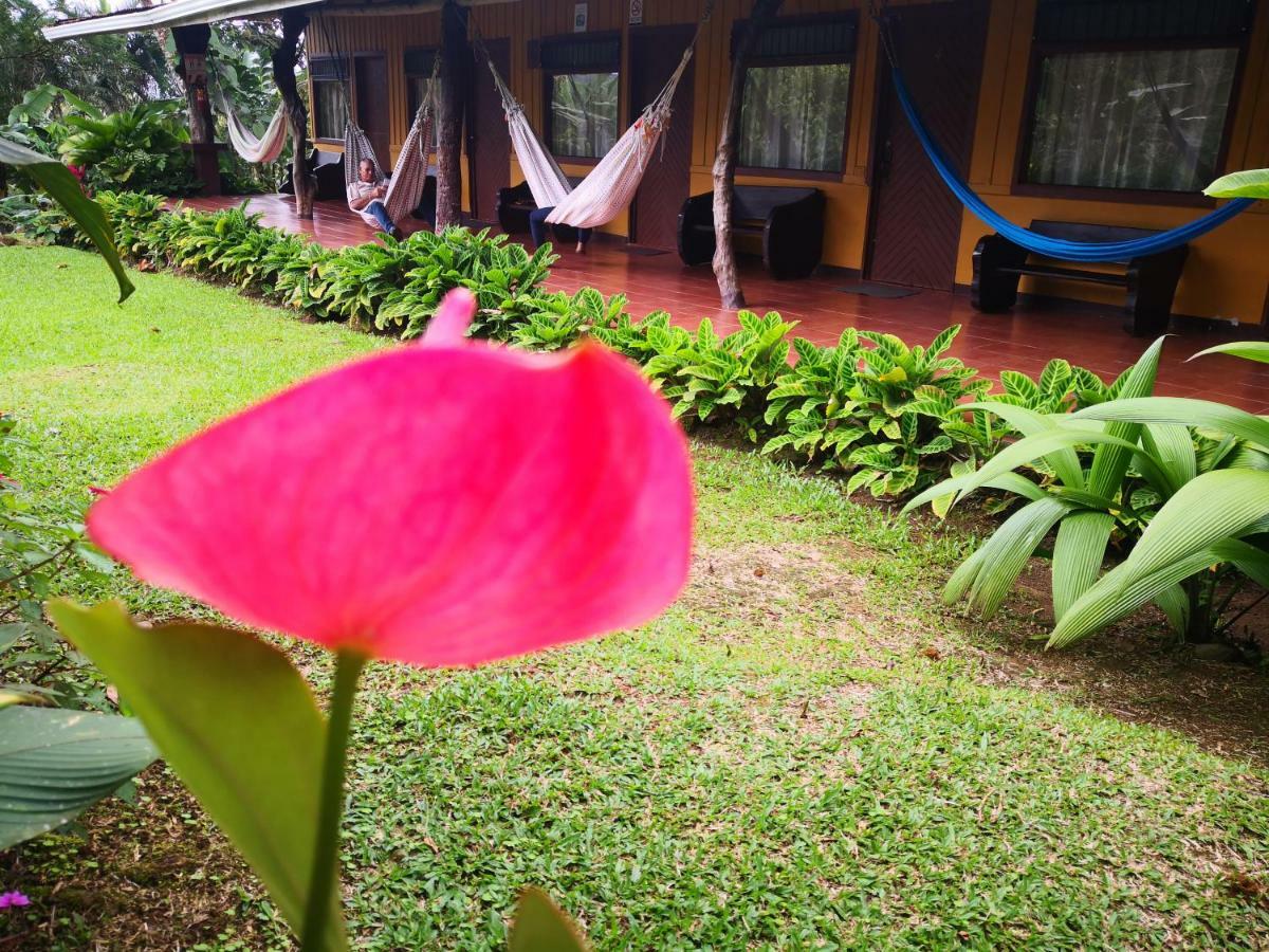 Hotel Catarata Rio Celeste Bijagua Eksteriør bilde